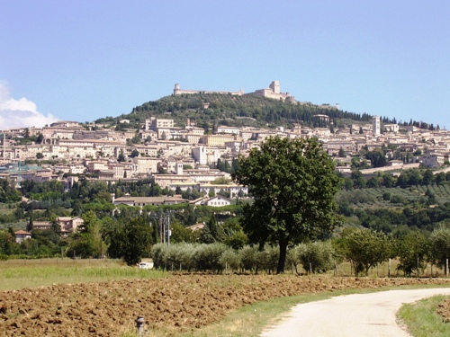 Msteko Assisi